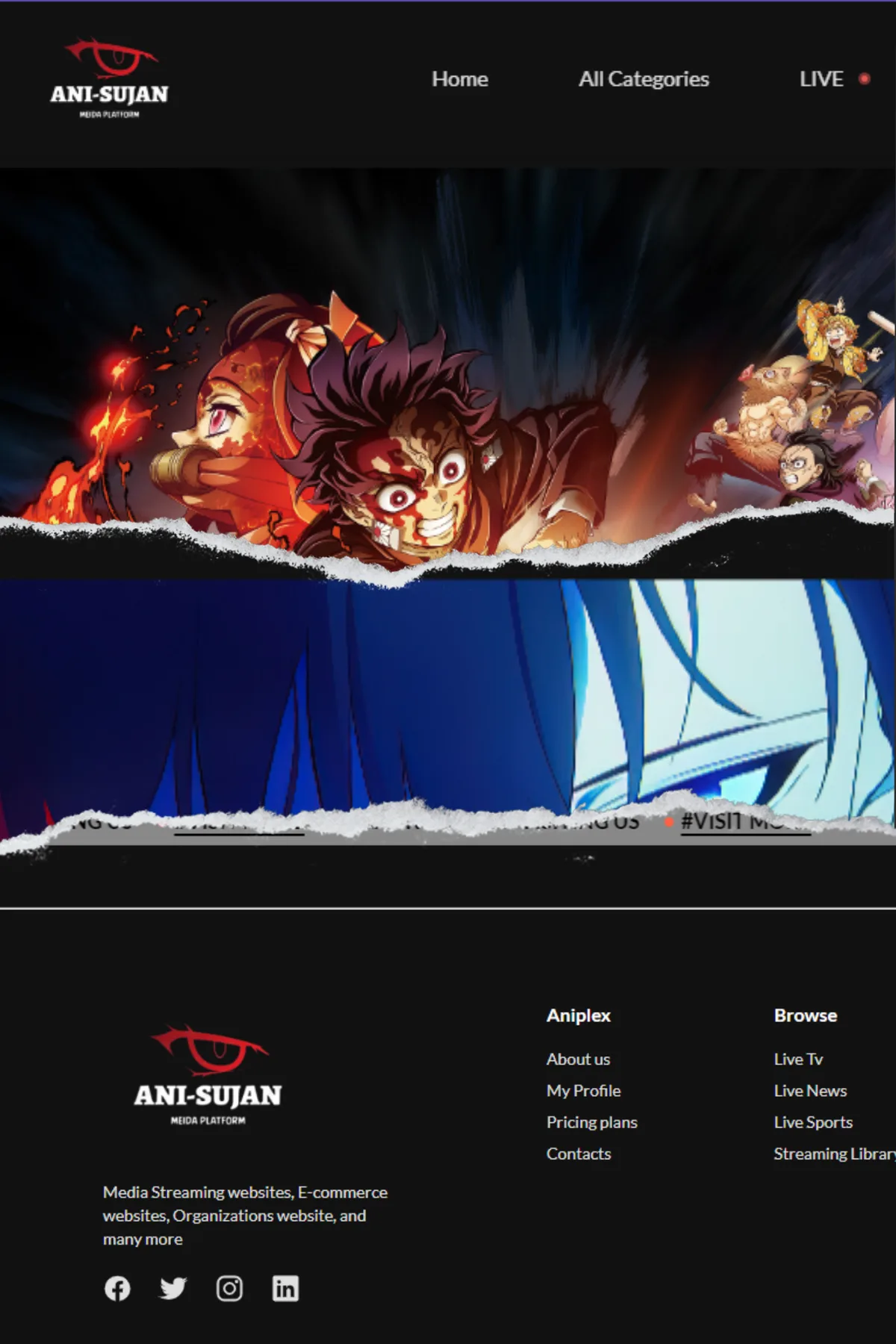 Original Anime streaming concept project artwork