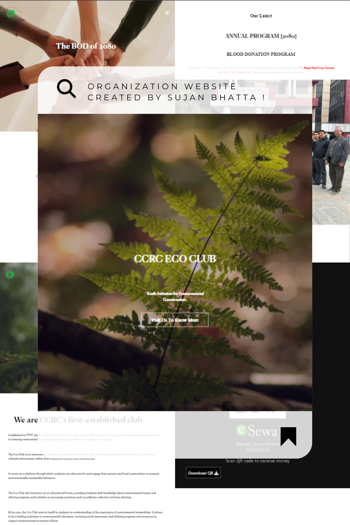 Original Environmental organisation website project artwork